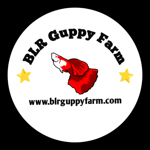 BLR Guppy Farm logo