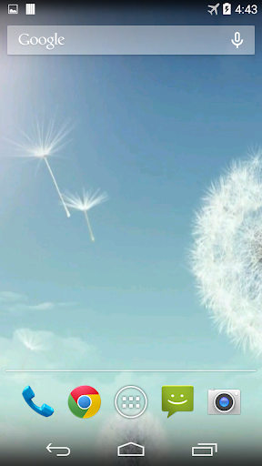 Android application Dandelion Video Live Wallpaper screenshort