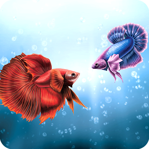 Betta Fish Wallpaper