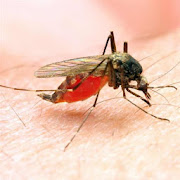 Top 47 Medical Apps Like Malaria Self-Test and Guide (Africa's Version) - Best Alternatives