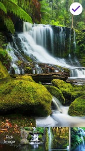 Jungle Amazon Nature Lock 3