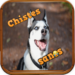 Cover Image of Download CHISTES SANOS  APK