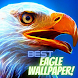 Eagle & Hawk HD Wallpaper 2021 - Androidアプリ