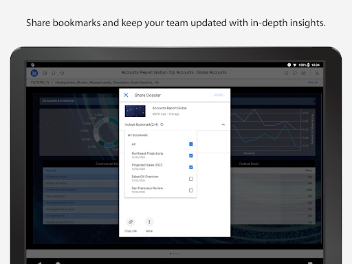 Screenshot of MicroStrategy Library