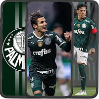 Palmeiras Wallpapers