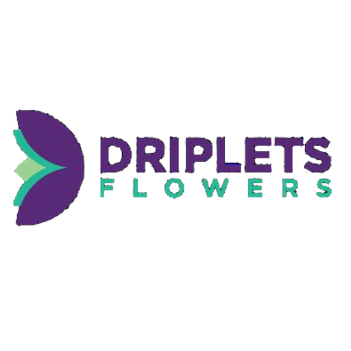 Driplets App logo