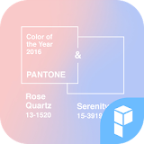 Color of the year theme icon