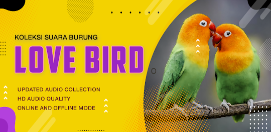 Koleksi Suara Burung Lovebird