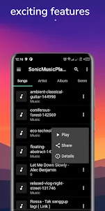 SonicMusicPlayer- Audio Player