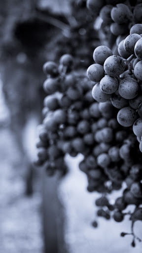 Grape Wallpapers Screen 2