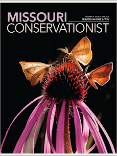 MO Conservationist Magazine  For Pc – Safe To Download & Install? 2
