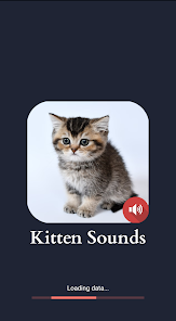 Captura 1 Sonidos de gatito android