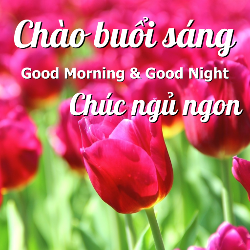 Vietnamese Daily Wish Messages logo