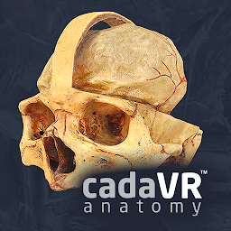 Icon image cadaVR anatomy