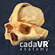 cadaVR anatomy - Androidアプリ