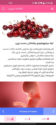 Dayk دایك دووگیانی ناوی منداڵ Screenshot 3 - AppWisp.com