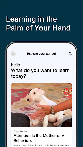 Android application Madcap University screenshort