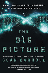 Immagine dell'icona The Big Picture: On the Origins of Life, Meaning, and the Universe Itself