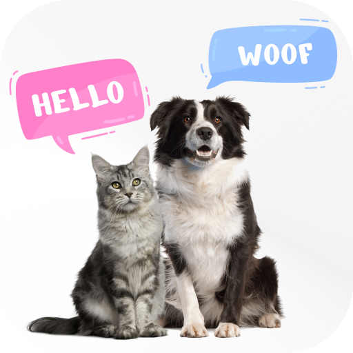 Dog & Cat Translator Prank