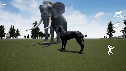 Cane Corso Dog Simulator 3D