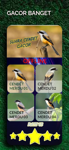 Suara Burung Cendet Screen 3