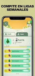 Imagen de la captura de pantalla