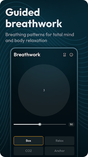 Screenshot of Binaural Beats Brainwaves