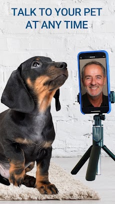 Pet Phone - a Pet Camのおすすめ画像1