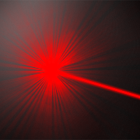 Laser for dogs and cats