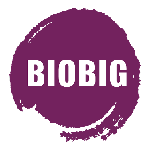 BIOBIG logo