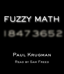 Icon image Fuzzy Math: The Essential Guide to the Bush Tax Plan