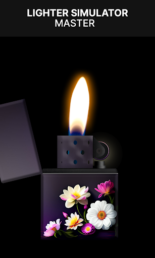 Lighter Simulation Master Screen 2