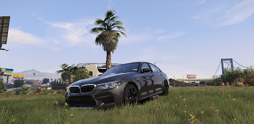 Realistic Simulator BMW M5 Car