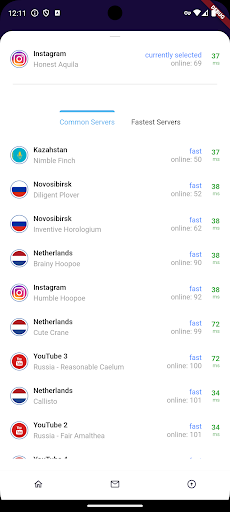 Ninja VPN Online Security