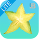 Smoothies LITE - Androidアプリ