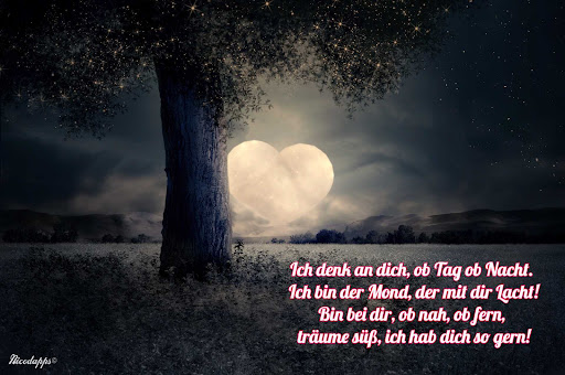 Gute Nacht Mein Schatz Screen 3