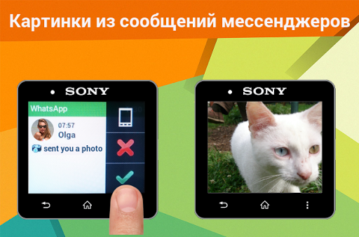 Предварительный просмотр приложения