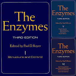 Obraz ikony: The Enzymes