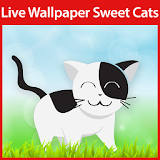Sweet Cats Live Wallpaper icon