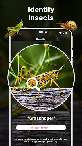 Insect Identifier : Insect ID, 9.0.0 screenshots 1