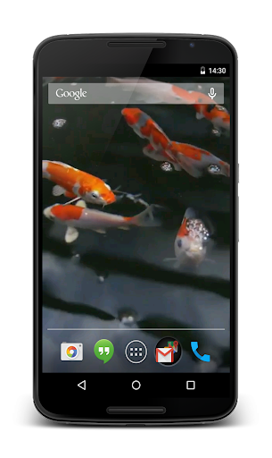 Android application Koi Video Live Wallpaper screenshort