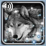 Wolves Voices LWP icon