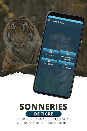 Aperçu de l'application