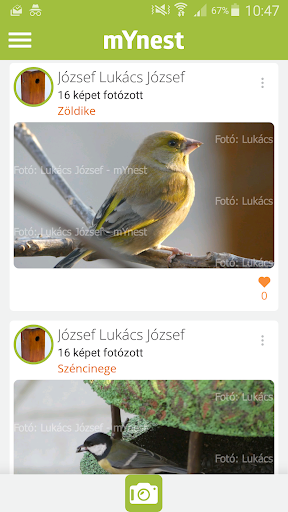 Android application mYnest bird screenshort