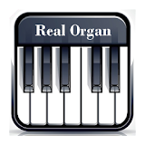 Real Organ Free :Org icon