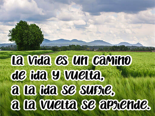 Frases Sabias e Inteligentes