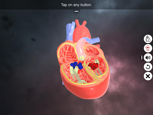 Android application Double circulation screenshort