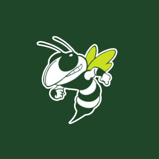 VIT CUSD #2 logo