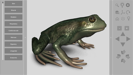 3D Frog Anatomy screenshot 0