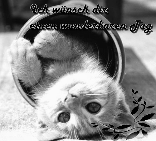 Schönen Guten Morgen Tag Nacht Screen 3
